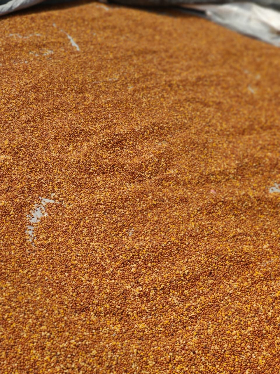 grains